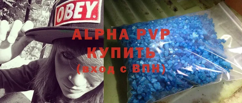 APVP СК  Западная Двина 